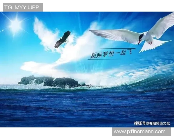 刘铮：从篮球场上的拼搏者到人生舞台的奋斗者的精彩历程与启示