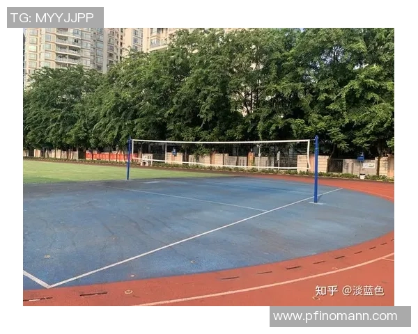 深圳排球队的节奏分析与得失反思探讨